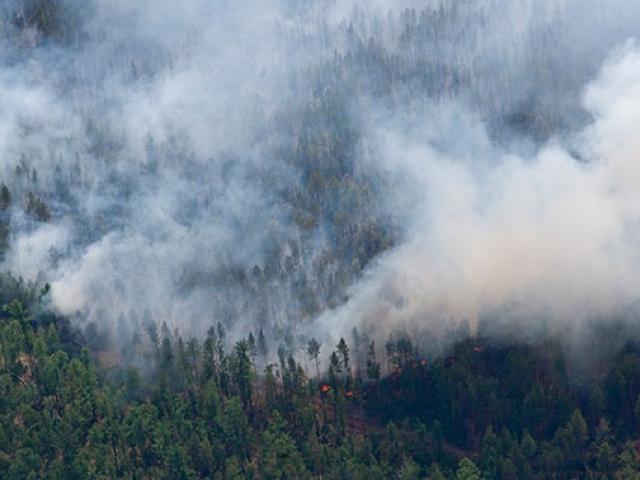 Сотни туристов эвакуированы на греческом острове Самос из-за лесных пожаров