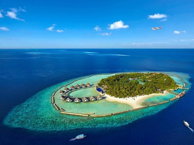 Уникальная Каттели - находка на Мальдивских островах