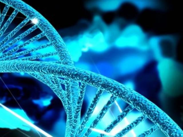 Дубайский отель предлагает бесплатное ДНК тестирование гостей