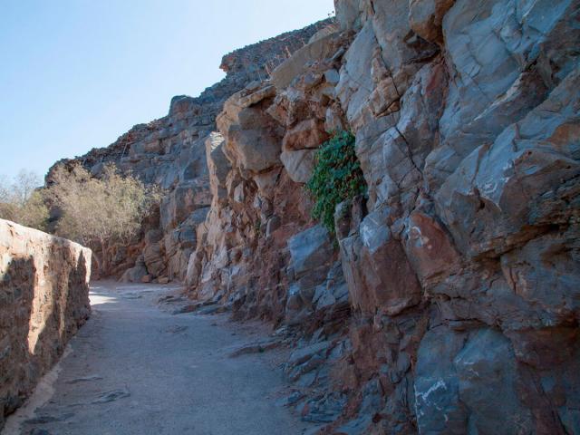 На севере Эфиопии обнаружены руины древнего города