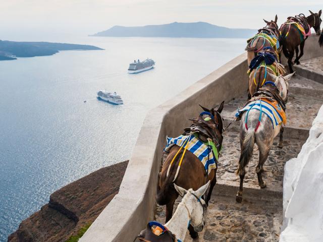 В Греции тяжелым туристам грозит штраф за катание на ослах