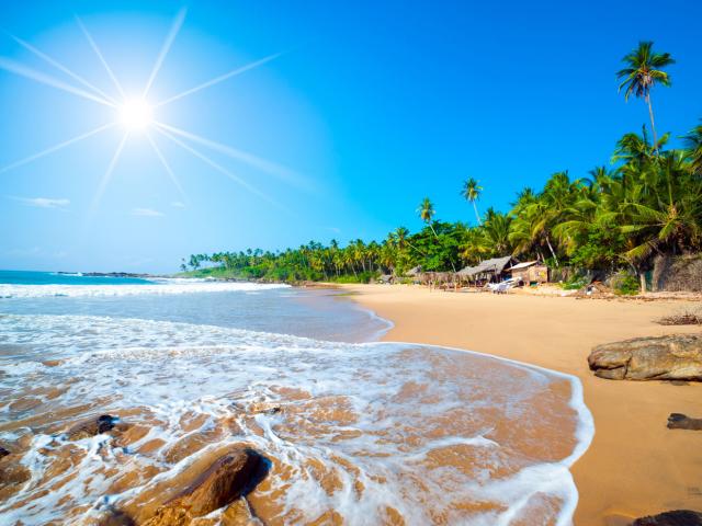 Шри-Ланка пообещала стать самой безопасной страной для туристов уже к маю