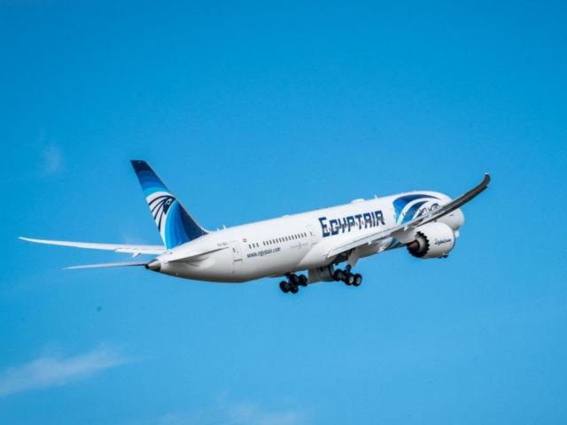 В расписании EgyptAir появились дополнительные рейсы из Москвы в Каир 