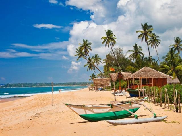 Шри-Ланка отменяет все ковидные ограничения на въезд туристов