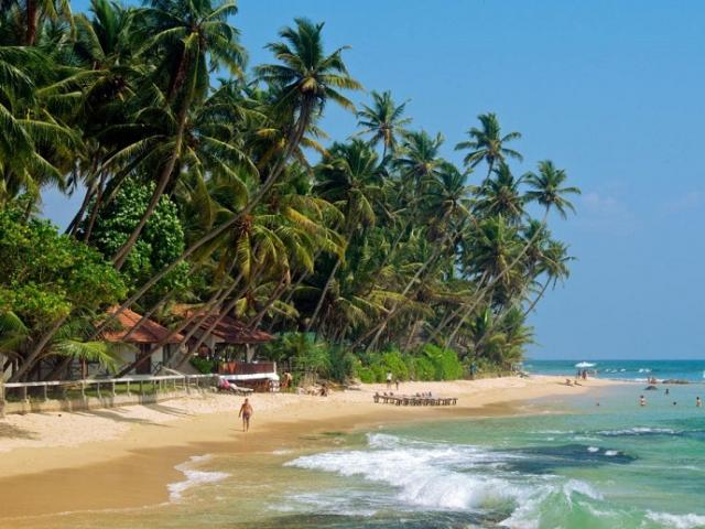 Стало известно, сколько стоит отдых на Шри-Ланке в апреле 